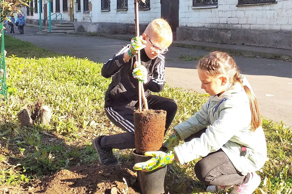 В демидовском саду будут представлены хвойные и лиственные растения. Фото предоставлено пресс-службой ЕВРАЗ