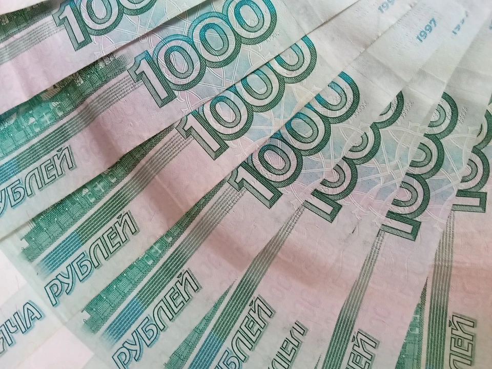 Предприниматель, ответственный за отлов животных в Аксарке, выплатит штраф за плохую работу