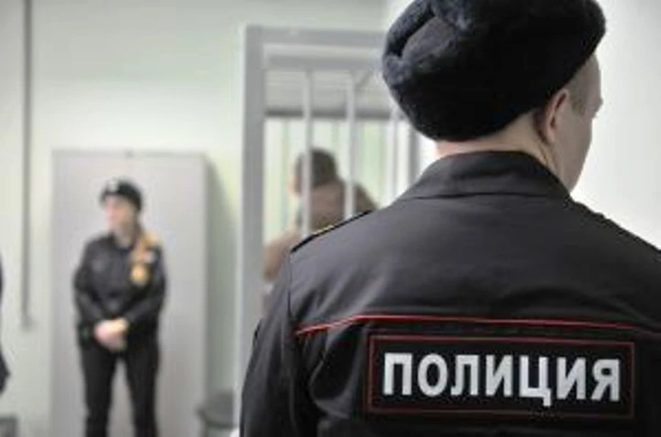 Подозреваемой грозит срок