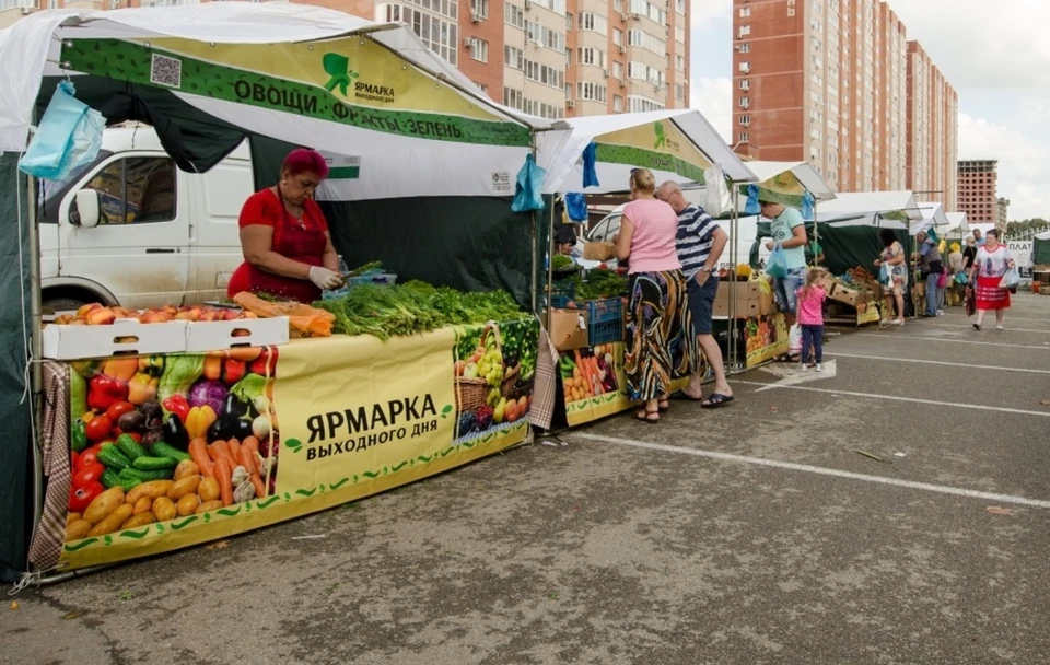 Фото: пресс-служба администрации Краснодара