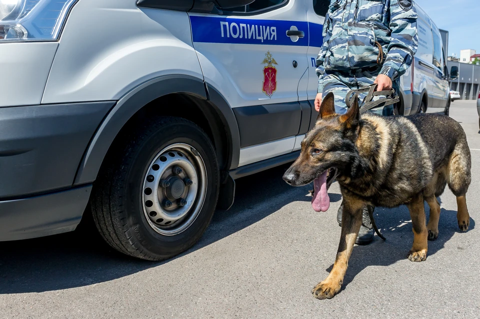 Полицейские задержали девушку