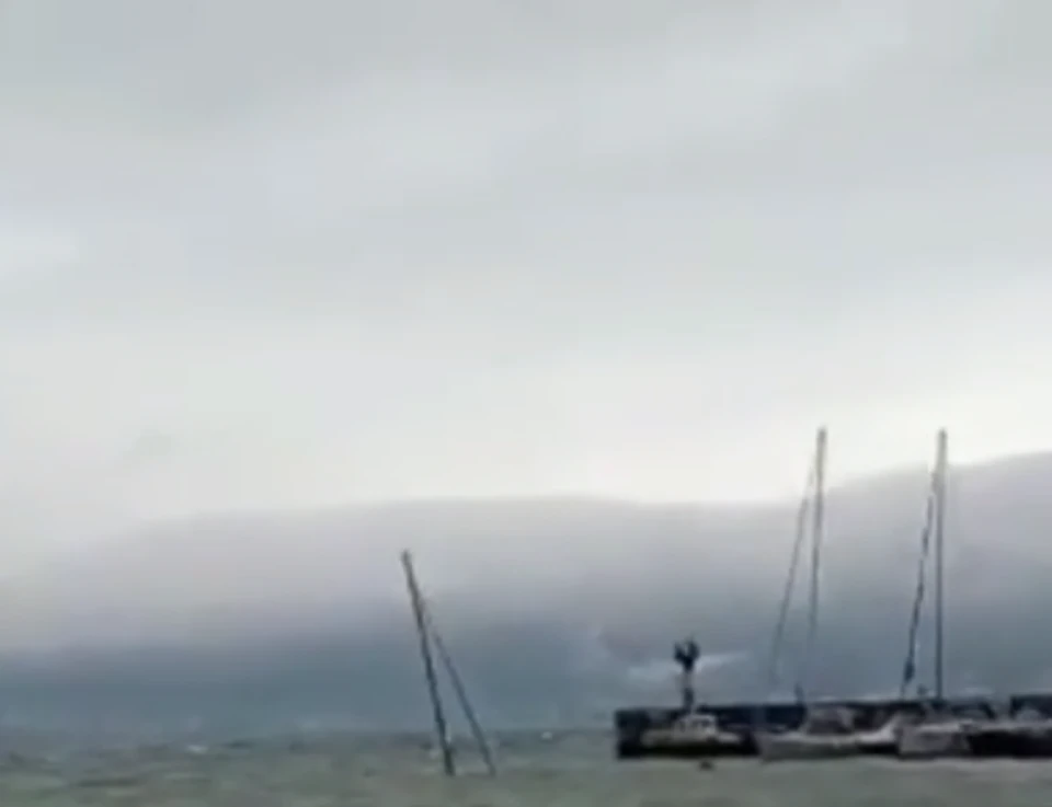 Фото: скриншот видео