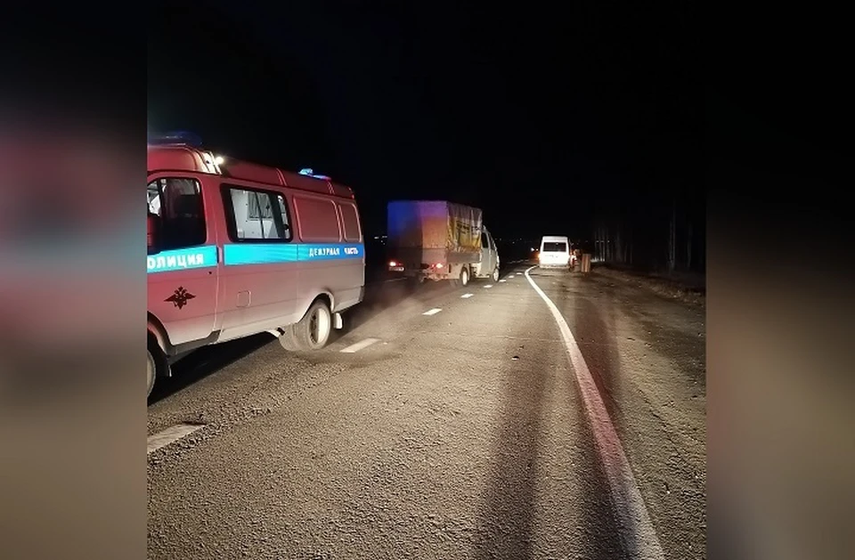 Инцидент произошел 4 октября около 23:00 на 349 километре трассы «Екатеринбург – Нижний Тагил – Серов». Фото: УГИБДД по Свердловской области