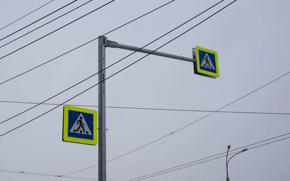 Фото: пресс-служба администрации города Костромы