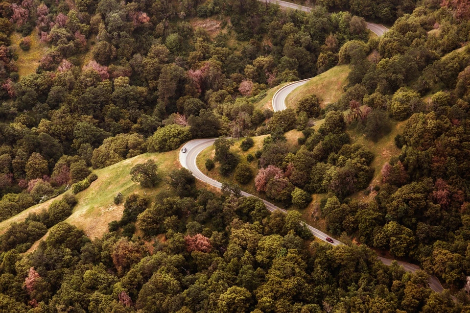 Фото: pexels