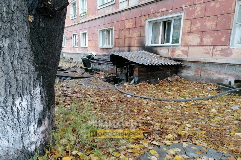 В Новосибирске пожарные спасли кота из горящего дома. Фото: "Инцидент Новосибирск".