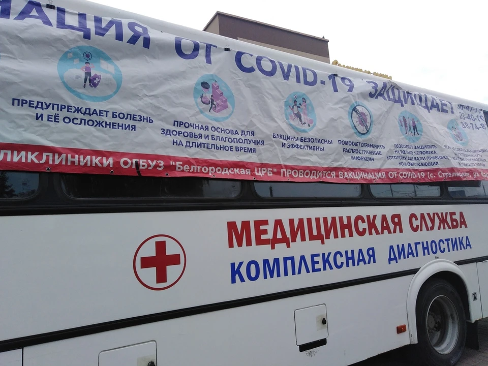 В Белгородской области продолжает расти количество заболевших коронавирусом.