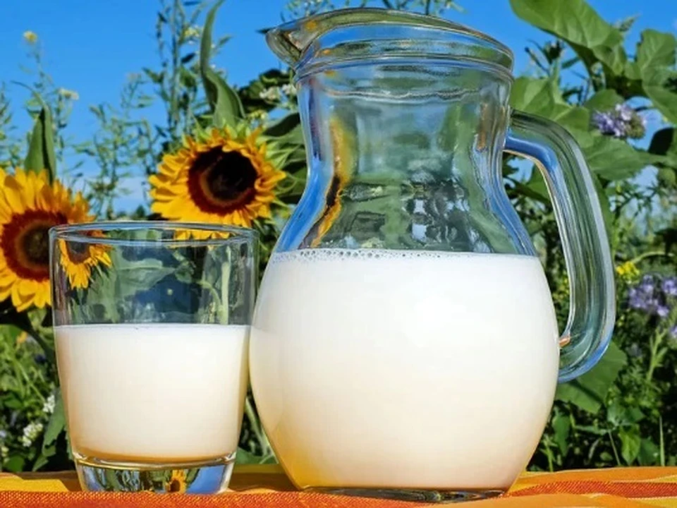Маркировка будет доступна для кубанских молочников