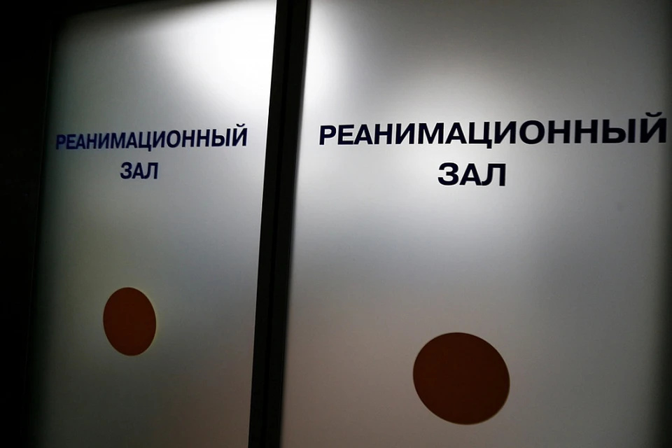 Фото: admkrai.krasnodar.ru