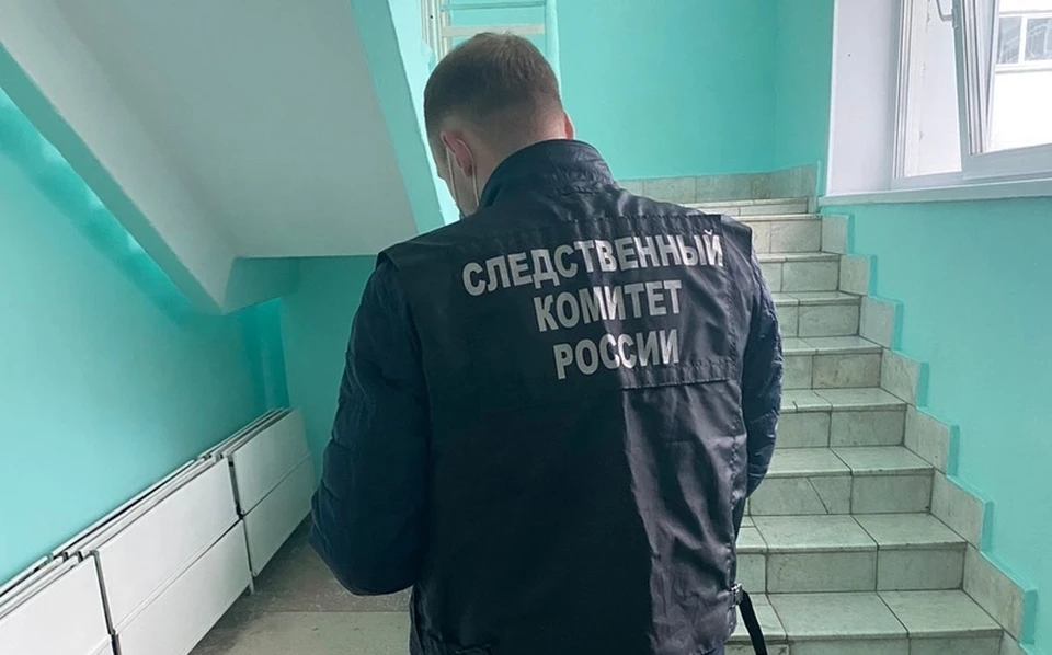 Следком и прокуратура проведут проверки по факту падения подростка в школе Кемерова. Фото: Следком Кузбасса.