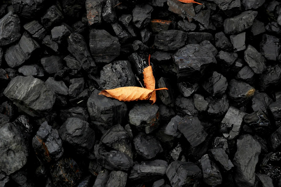 Поставки угля из России в Европу выросли в 2021 году
