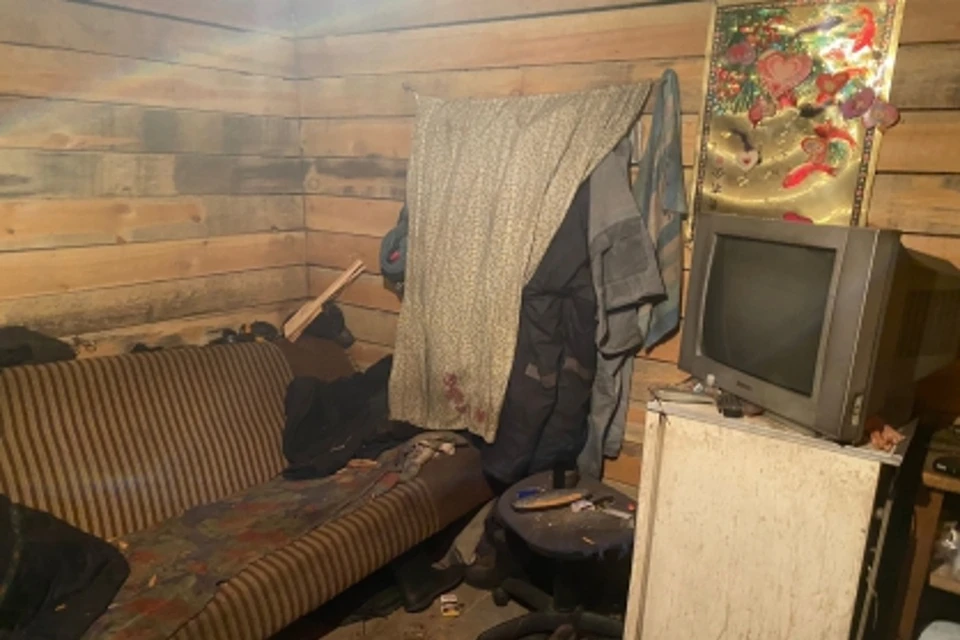 Убийство произошло в каморке бездомного на пилораме. Фото: пресс-служба СУ СКР по Новосибирской области