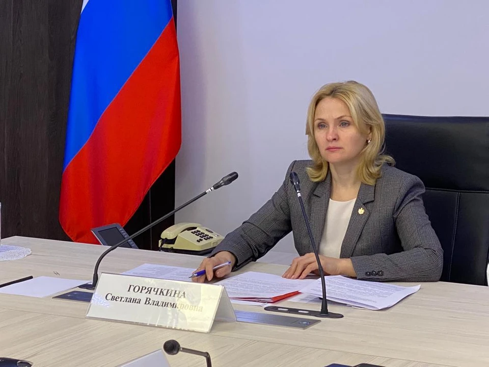 Замгубернатора Рязанской области Светлана Горячкина. Фото: ryazangov.ru