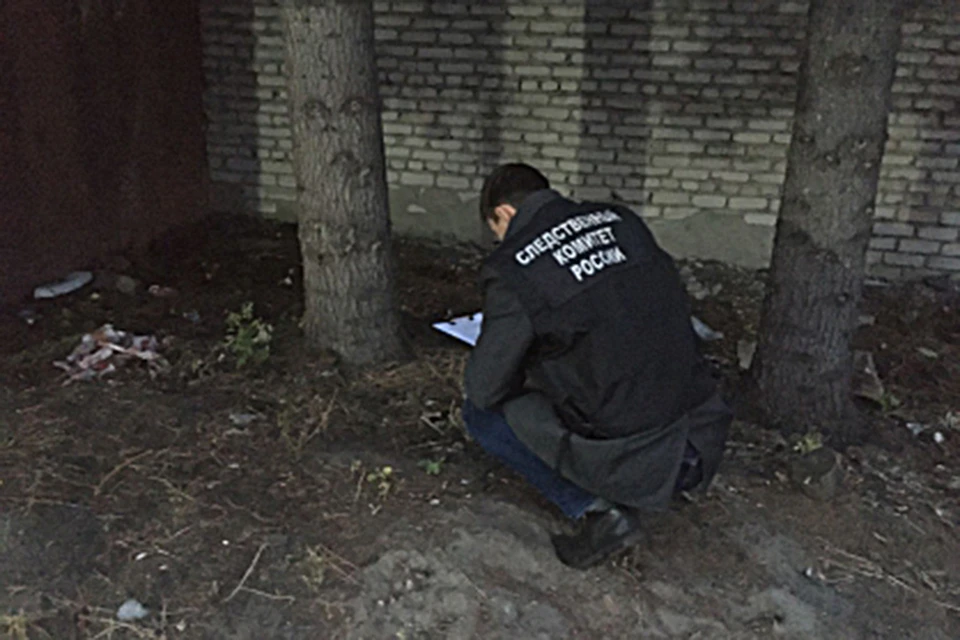 Расследование уголовного дела продолжается