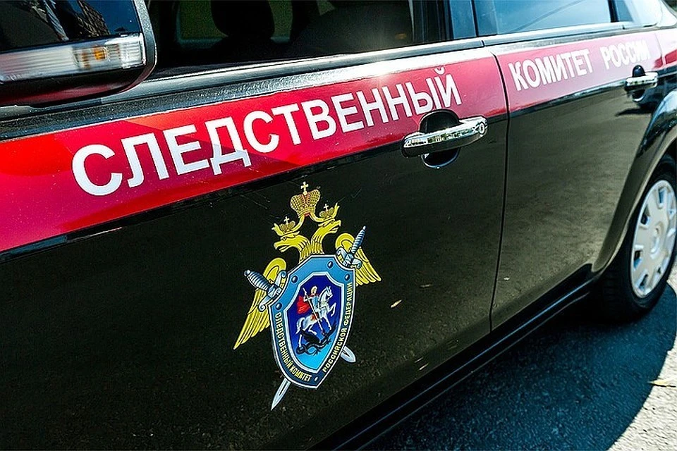Видео задержания подозреваемой в убийстве девятилетней девочки из Вологды опубликовали в СК РФ