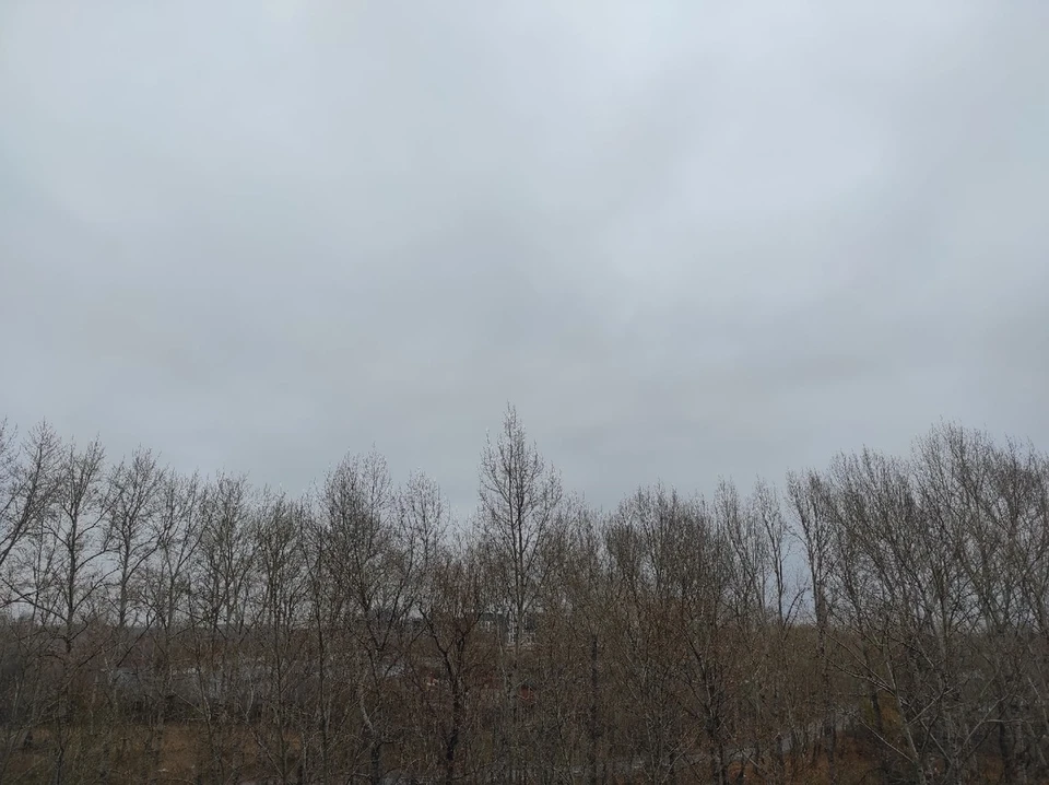 Смог от природных пожаров в Тюмень идет из Свердловской области.