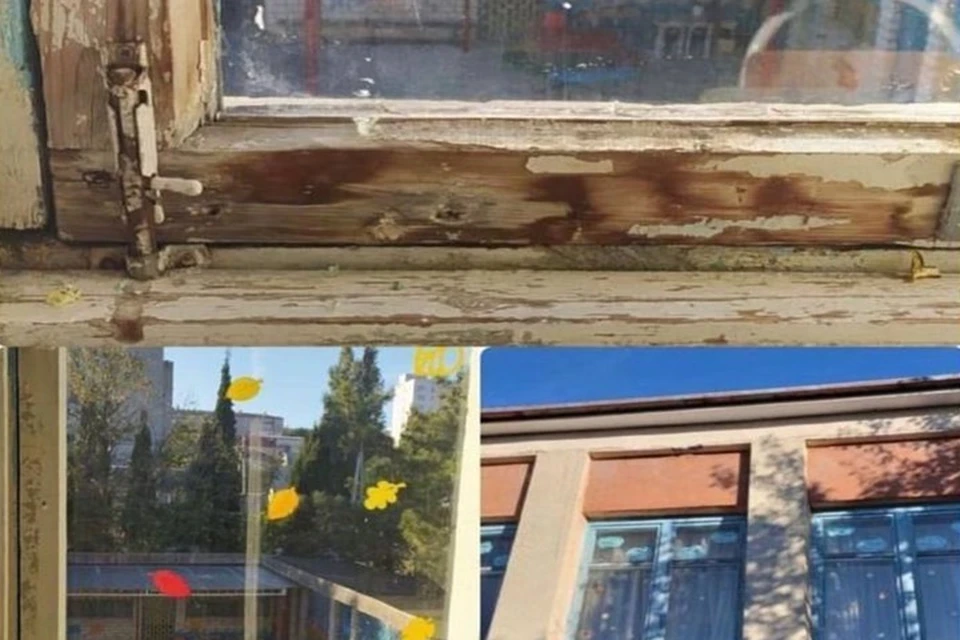 Фото: пресс-службы администрации Геленджика