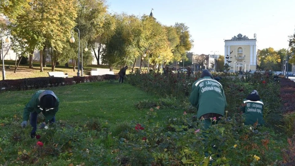 В этом году город украшали около 400 тысяч цветов