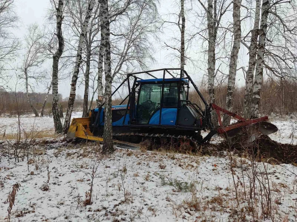 В городских лесах Тюмени обновляют минерализованные полосы.