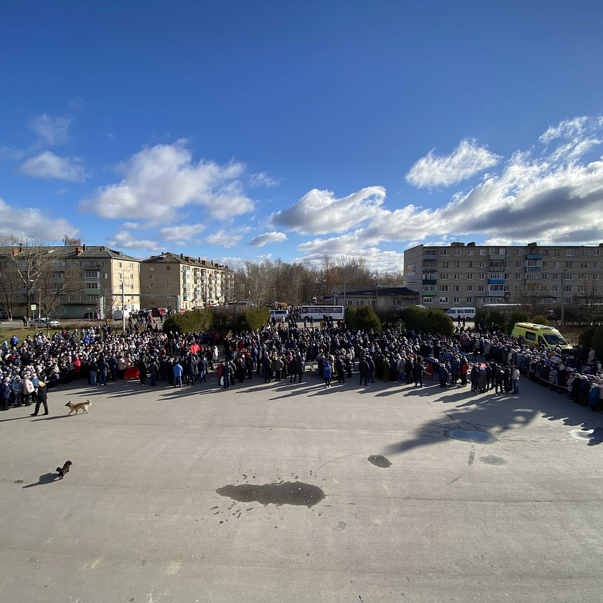 Фото Погибших В П Лесной