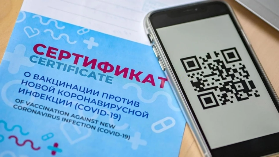 До публичных слушаний в Хабаровском крае допустят только обладателей QR-кодов и справок