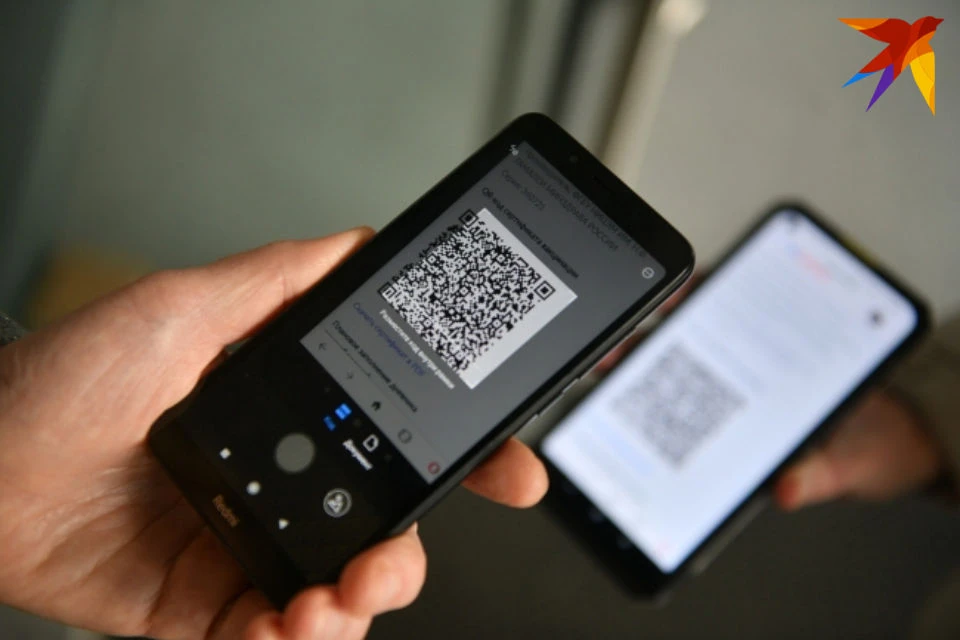 Об альтернативах QR-коду рассказали в оперативном штабе региона.