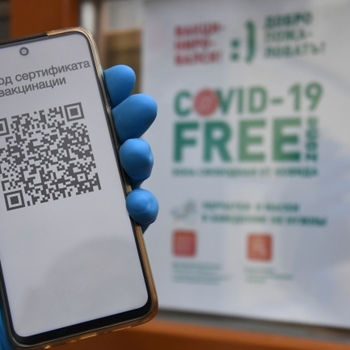 Власти Коми рассказали, как получить и использовать QR-код в общественных  местах - KP.RU