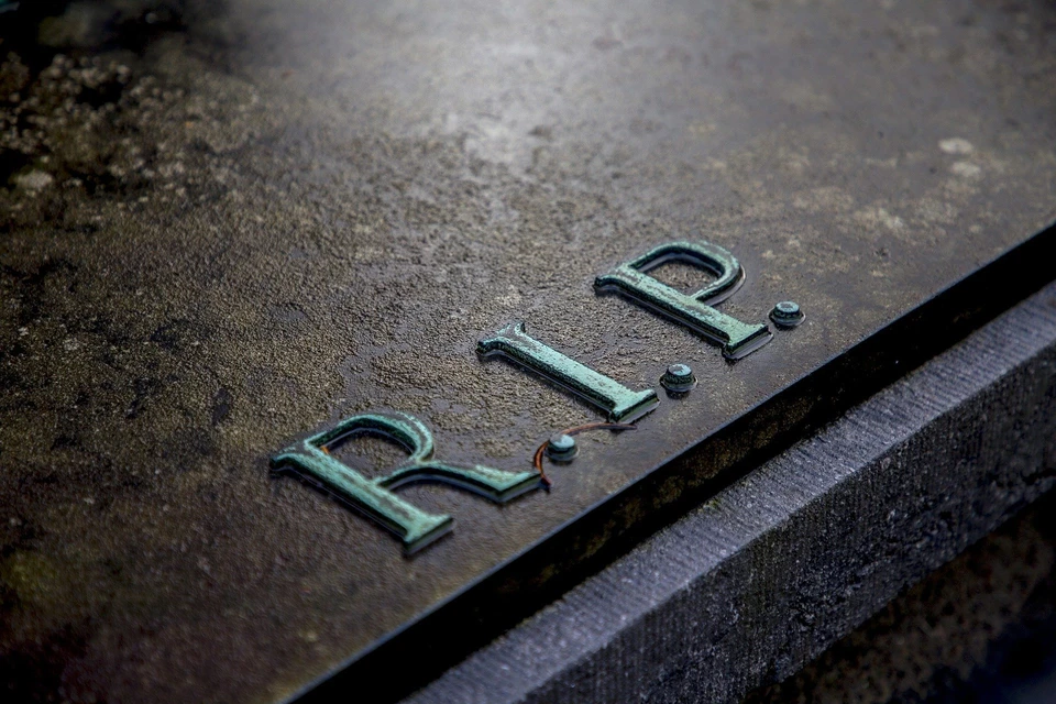 Фото: Изображение Rob van der Meijden с сайта Pixabay