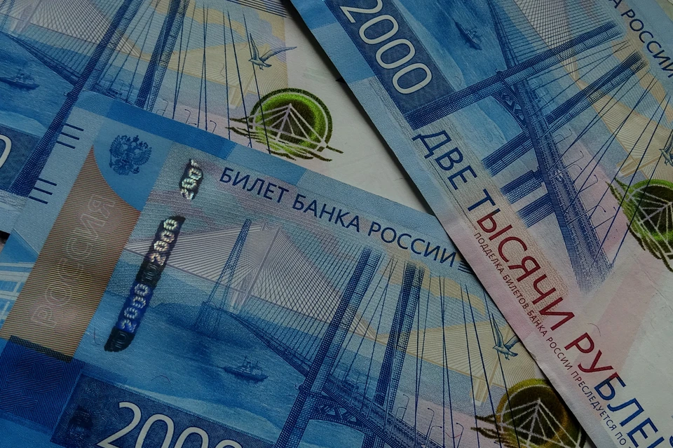 Под Липецком студентка попала под уголовную статью за дачу взятки преподавателям вуза