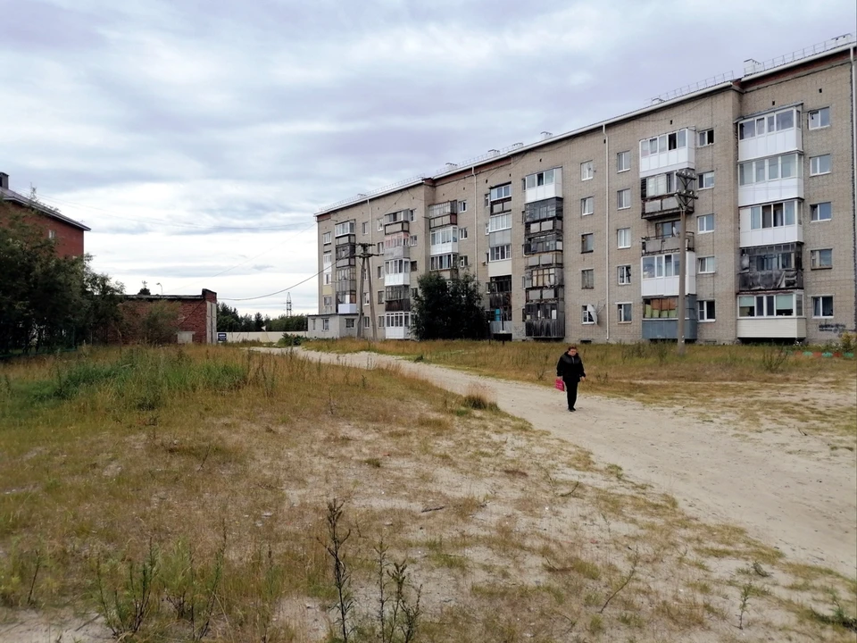 Фото: администрация Губкинского