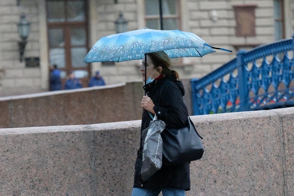 Во вторник в Петербурге будет пасмурно.