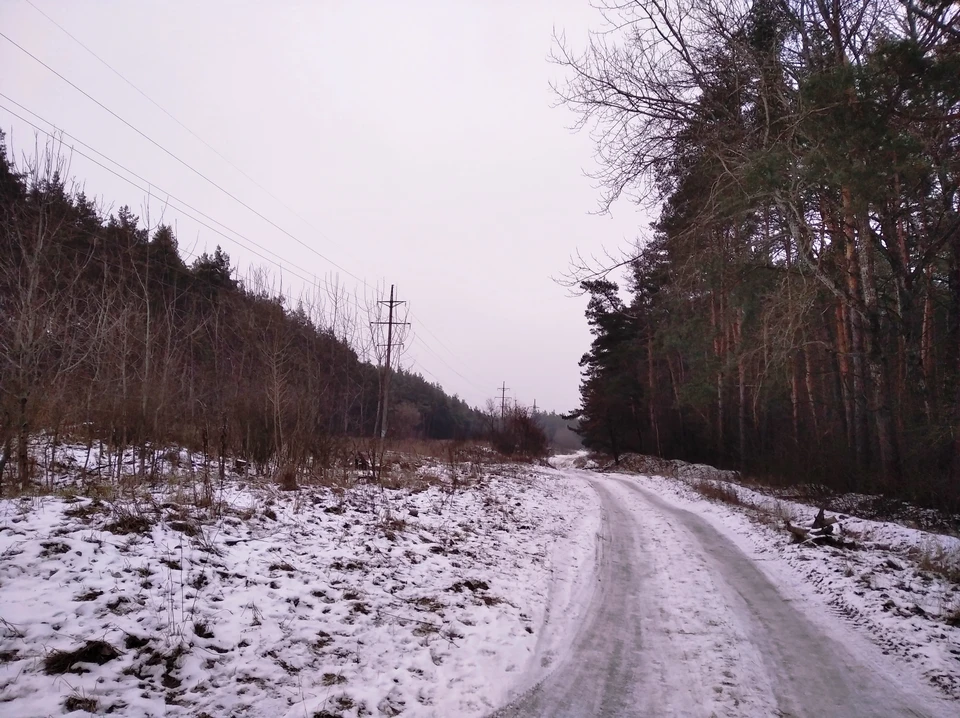 Охотник заплатит штраф