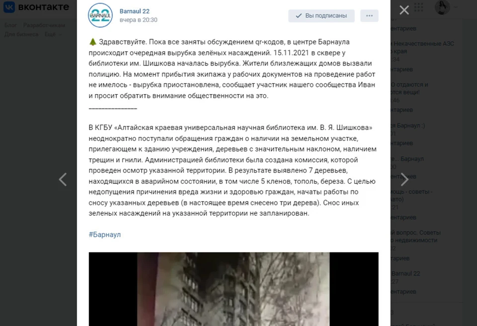Вырубку приостановили. ФОТО: скриншот сообщества «Barnaul 22»