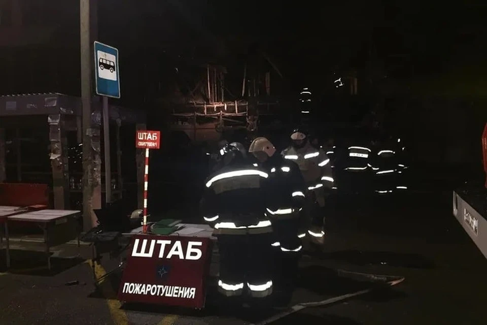 Спасатели несколько часов сражались с огнем. Фото: 01_mchs_ra
