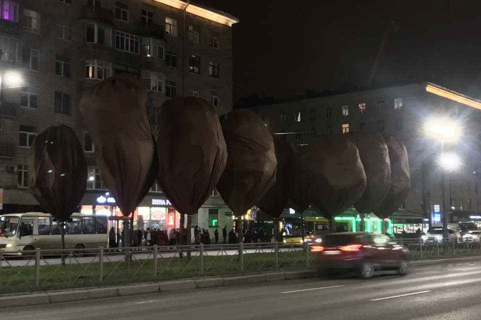 На Московском проспекте в Петербурге у деревьев появились необычные "костюмы".