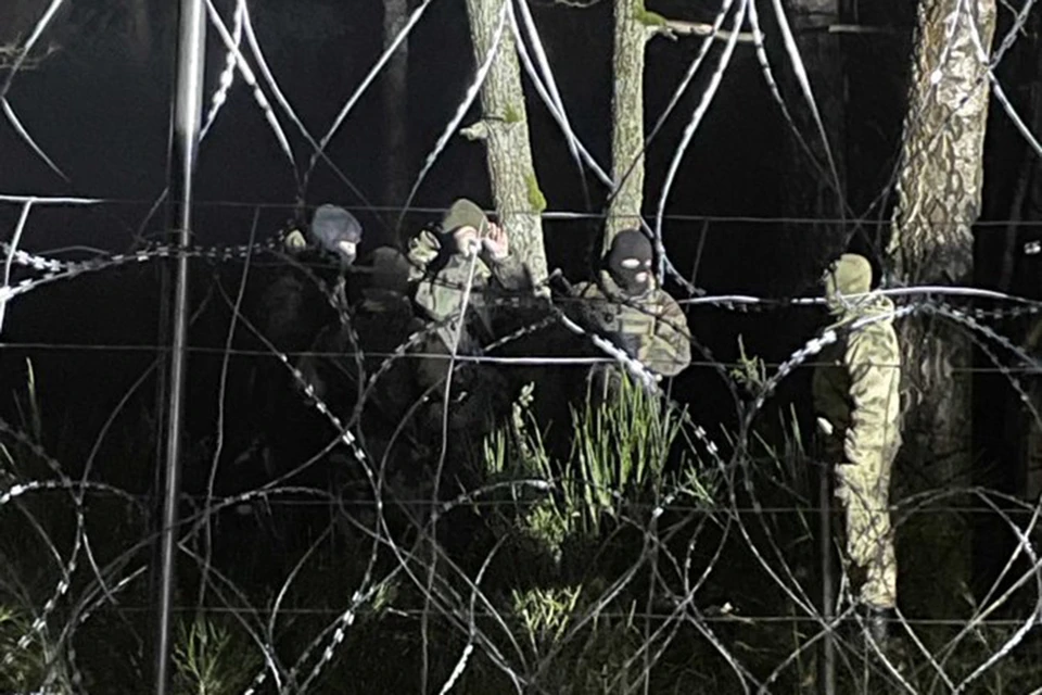 Министерство обороны Польши заявляет об участии белорусских силовиков в попытке сотни мигрантов прорваться через границу в ночь на 18 ноября. Фото: Министерство обороны Польши.