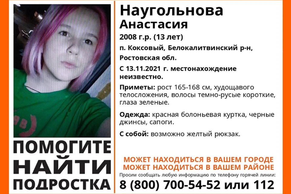 13 ноября девочка ушла из дома в поселке Коксовый. Фото: поисковой отряд «ЛизаАлерт Юг»