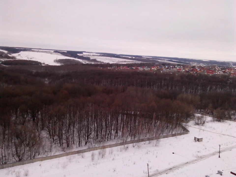 В регионе пройдет снег с дождем