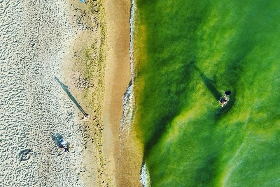 Цветение водорослей превращает Черное море в изумрудное. Фото: andreimakovozov