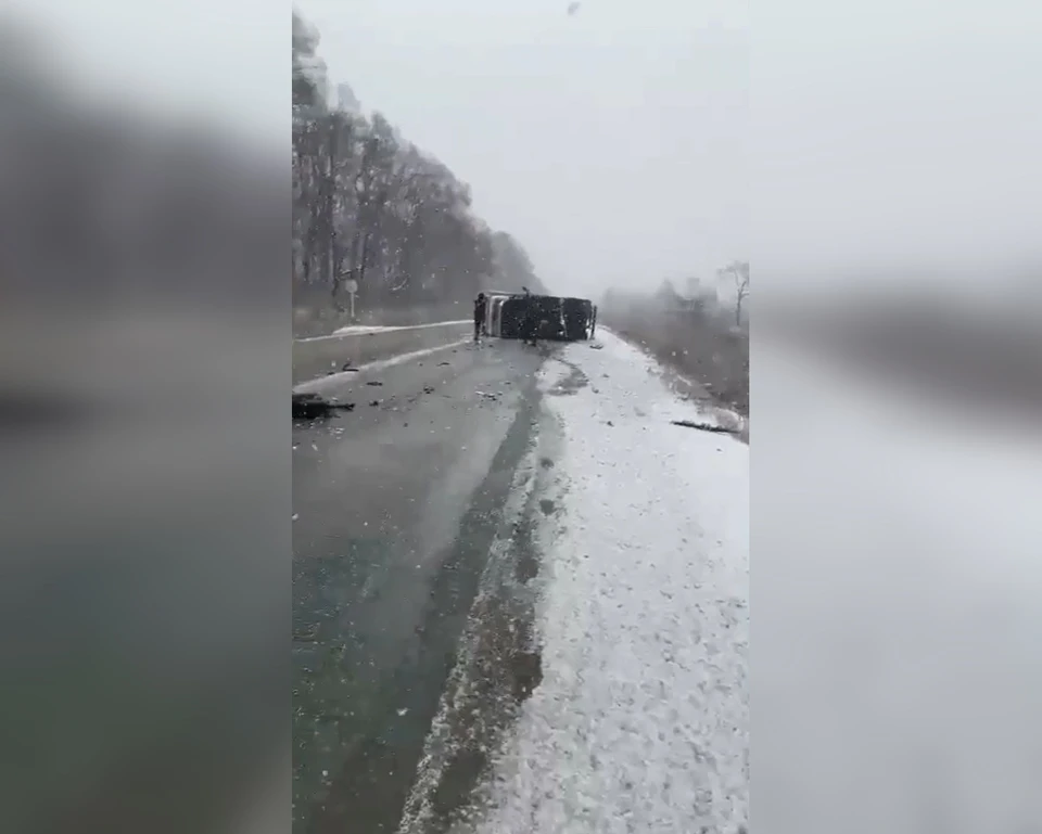 Фото: принтскрин видео, @lifedv