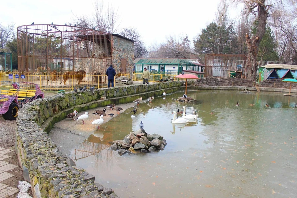 Симферопольский зооуголок оказался под угрозой закрытия. Фото: Детский Парк Симферополь/Вконтакте