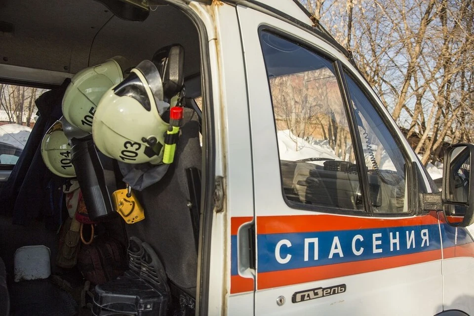 В Пермском районе мужчины заблудились в лесу, их выручили спасатели.
