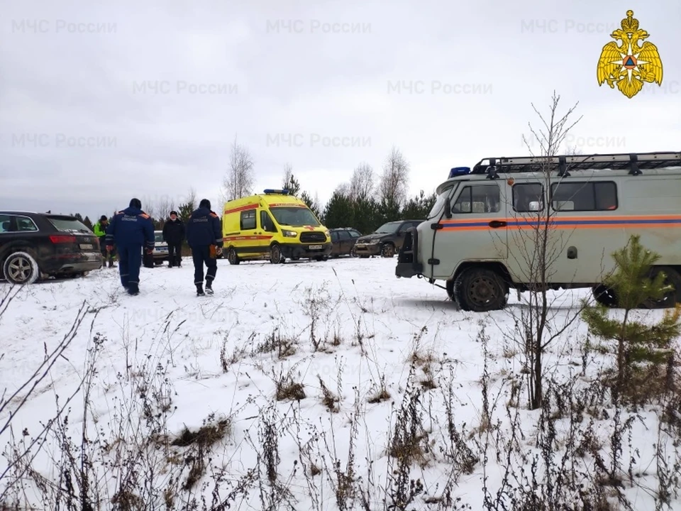 Фото: ГУ МЧС России по Костромской области