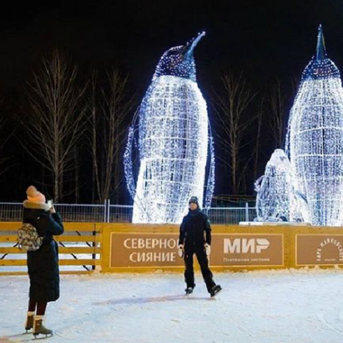 В парке Маяковского открылся каток «Северное сияние» - KP.RU