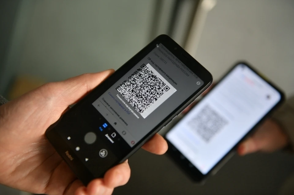 В Совфеде одобрили концепцию законопроекта о QR-кодах в общественных местах