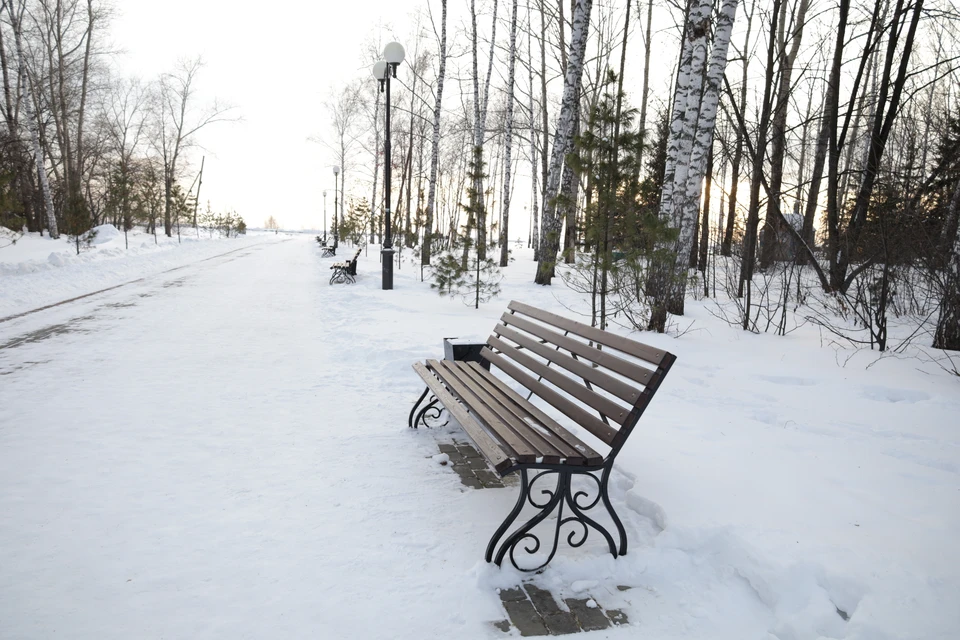 По прогнозу будет -3…-8°С, в некоторых районах на севере ожидается температура -12…-17 °С.