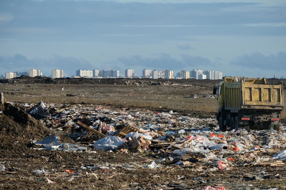 Все полигоны Ленобласти закроют к 1 января 2024 года.