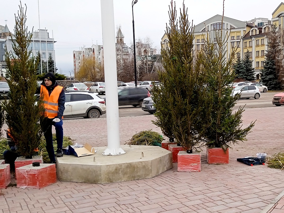 Подготовка к Новому году 2022 в Липецке: на площади Петра ставят живые ели  для заколдованного леса - KP.RU