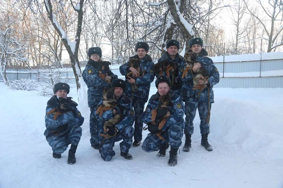 фото УФСИН по Владимирской области