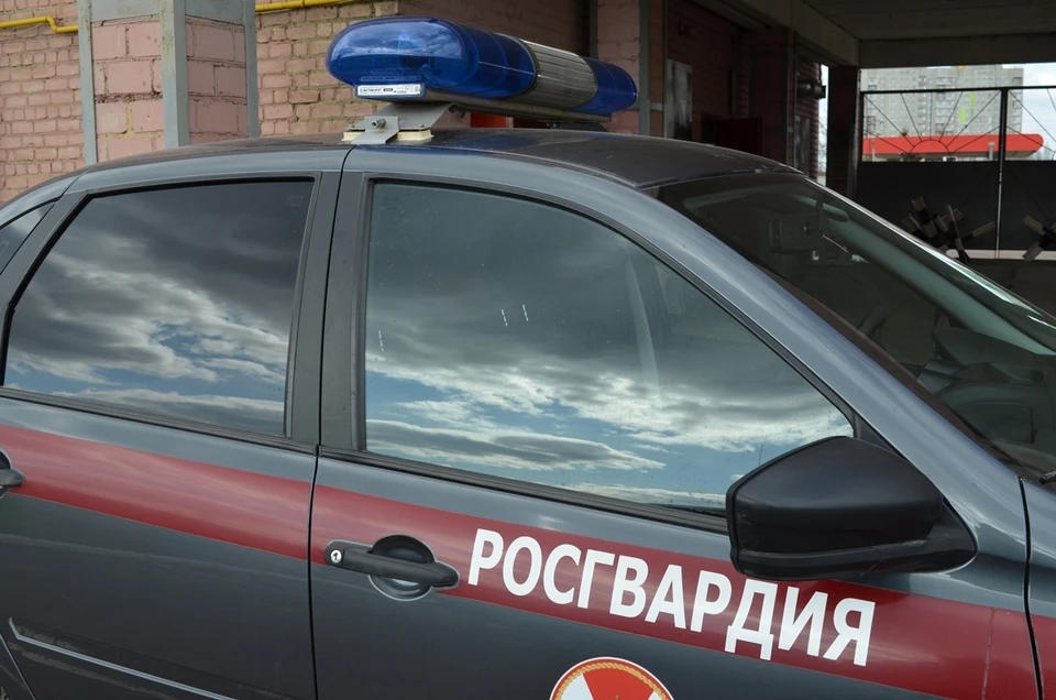 Фото: Ольга СУПОНЕВА (архив)